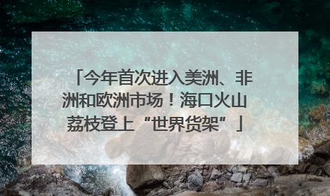 今年首次进入美洲、非洲和欧洲市场！海口火山荔枝登上“世界货架”