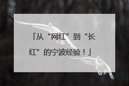 从“网红”到“长红”的宁波经验！