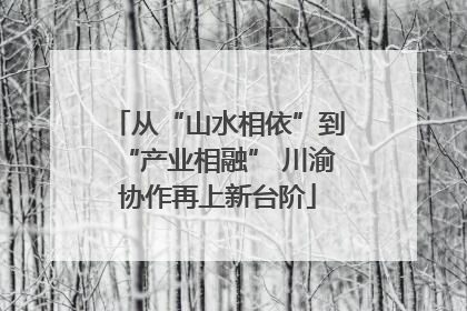 从“山水相依”到“产业相融” 川渝协作再上新台阶