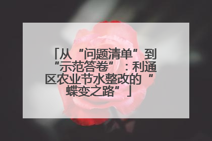 从“问题清单”到“示范答卷”：利通区农业节水整改的“蝶变之路”