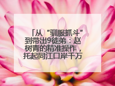 从“驯服抓斗”到带出9徒弟：赵树青的精准操作，托起同江口岸千万吨过货量