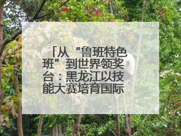 从“鲁班特色班”到世界领奖台：黑龙江以技能大赛培育国际级工匠人才