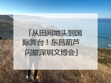 从田间地头到国际舞台！东昌葫芦闪耀深圳文博会