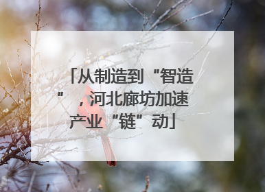 从制造到“智造”，河北廊坊加速产业“链”动