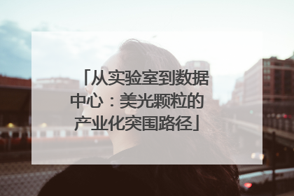 从实验室到数据中心：美光颗粒的产业化突围路径