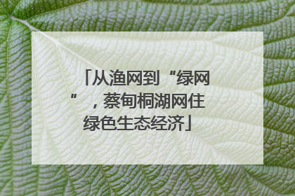 从渔网到“绿网”，蔡甸桐湖网住绿色生态经济