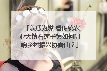 以瓜为媒 看传统农业大镇石莲子镇如何唱响乡村振兴协奏曲？
