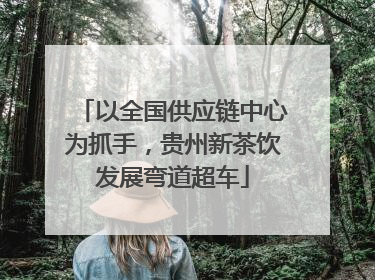以全国供应链中心为抓手，贵州新茶饮发展弯道超车