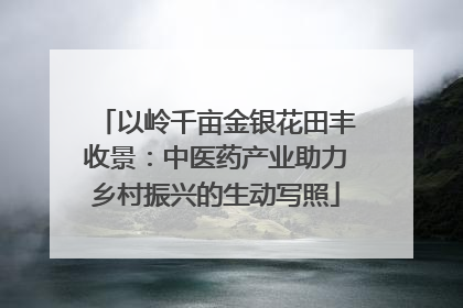 以岭千亩金银花田丰收景：中医药产业助力乡村振兴的生动写照