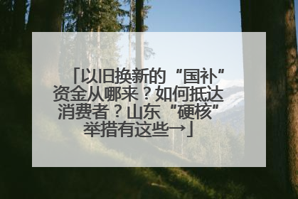 以旧换新的“国补”资金从哪来？如何抵达消费者？山东“硬核”举措有这些→