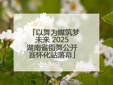 以舞为媒筑梦未来 2025湖南省街舞公开赛怀化站落幕