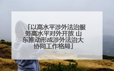 以高水平涉外法治服务高水平对外开放 山东推动形成涉外法治大协同工作格局