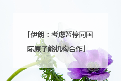 伊朗：考虑暂停同国际原子能机构合作