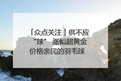 众点关注｜供不应“球” 涨幅超黄金 价格亲民的羽毛球为何身价飞涨？