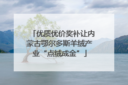 优质优价奖补让内蒙古鄂尔多斯羊绒产业“点绒成金”