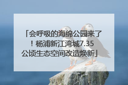 会呼吸的海绵公园来了！杨浦新江湾城7.35公顷生态空间改造焕新