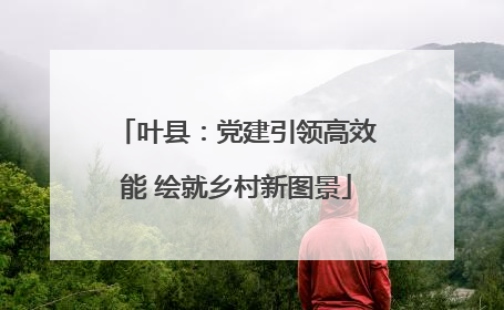 叶县：党建引领高效能 绘就乡村新图景