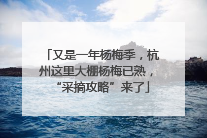 又是一年杨梅季，杭州这里大棚杨梅已熟，“采摘攻略”来了