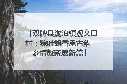 双牌县泷泊镇观文口村：粽叶飘香承古韵 乡情凝聚展新篇