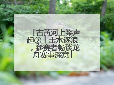 古黄河上桨声起②丨击水逐浪，参赛者畅谈龙舟赛事深意