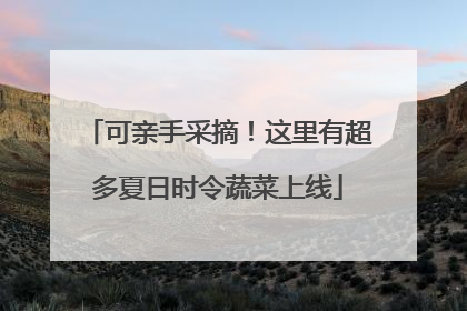 可亲手采摘！这里有超多夏日时令蔬菜上线