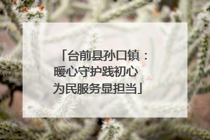 台前县孙口镇：暖心守护践初心 为民服务显担当
