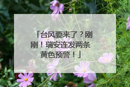 台风要来了？刚刚！瑞安连发两条黄色预警！