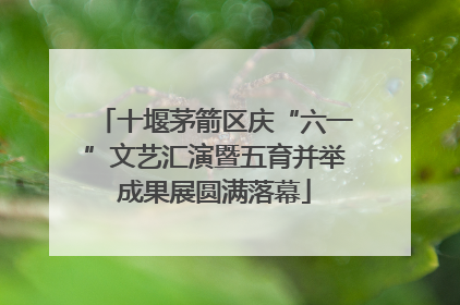 十堰茅箭区庆“六一”文艺汇演暨五育并举成果展圆满落幕