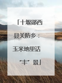 十堰郧西县关防乡：玉米地里话“丰”景