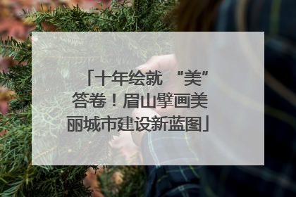 十年绘就 “美” 答卷！眉山擘画美丽城市建设新蓝图