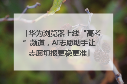 华为浏览器上线“高考”频道，AI志愿助手让志愿填报更稳更准