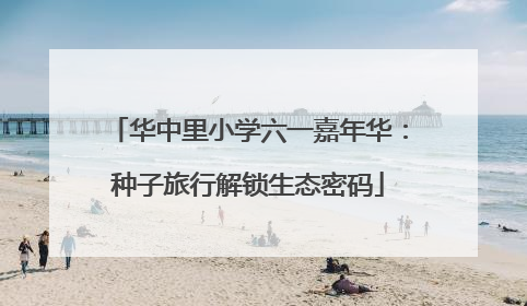 华中里小学六一嘉年华：种子旅行解锁生态密码