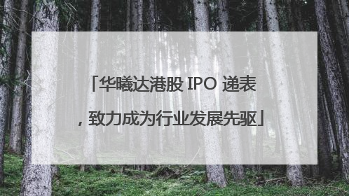 华曦达港股 IPO 递表，致力成为行业发展先驱