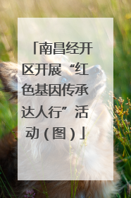 南昌经开区开展“红色基因传承达人行”活动（图）