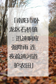 南阳市卧龙区石桥镇：迅速响应强降雨 连夜疏通河道护农田