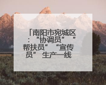 南阳市宛城区：“协调员”“帮扶员”“宣传员” 生产一线助力抢收抢种