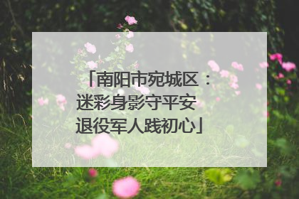 南阳市宛城区：迷彩身影守平安 退役军人践初心