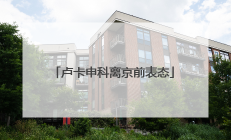 卢卡申科离京前表态