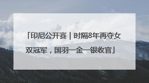 印尼公开赛｜时隔8年再夺女双冠军，国羽一金一银收官