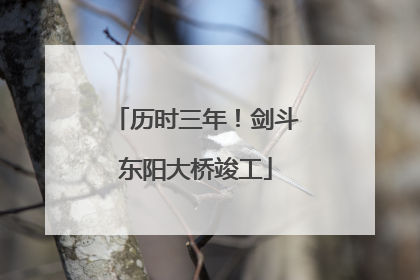 历时三年！剑斗东阳大桥竣工