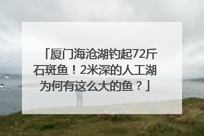 厦门海沧湖钓起72斤石斑鱼！2米深的人工湖为何有这么大的鱼？