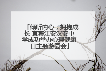 倾听内心，拥抱成长 宜宾江安汉安中学成功举办心理健康日主题游园会