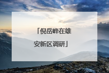 倪岳峰在雄安新区调研