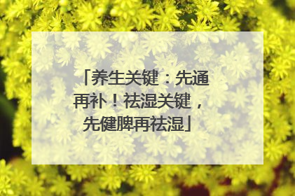 养生关键：先通再补！祛湿关键，先健脾再祛湿