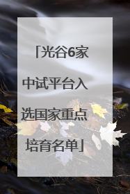 光谷6家中试平台入选国家重点培育名单