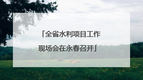 全省水利项目工作现场会在永春召开