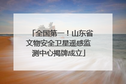 全国第一！山东省文物安全卫星遥感监测中心揭牌成立