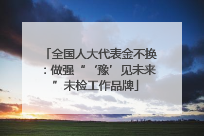 全国人大代表金不换：做强“‘豫’见未来”未检工作品牌