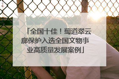 全国十佳！蜀道翠云廊保护入选全国文物事业高质量发展案例
