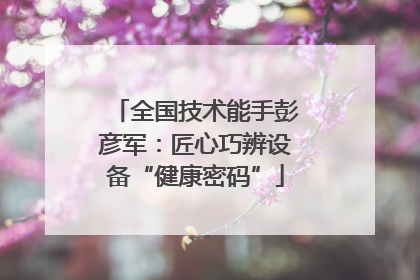 全国技术能手彭彦军：匠心巧辨设备“健康密码”
